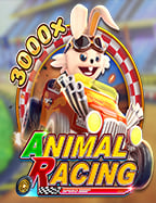 บา คา ร่า เครดิต ฟรี 2021: แชร์สูตรเล่นสุดคูล!